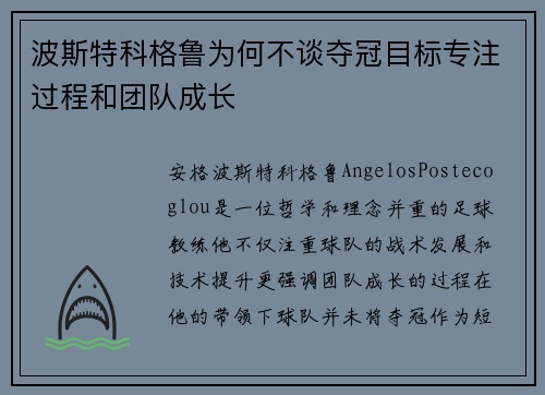 波斯特科格鲁为何不谈夺冠目标专注过程和团队成长 波斯特科格鲁为何不谈夺冠目标专注过程和团队成长