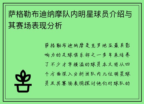 萨格勒布迪纳摩队内明星球员介绍与其赛场表现分析 萨格勒布迪纳摩队内明星球员介绍与其赛场表现分析